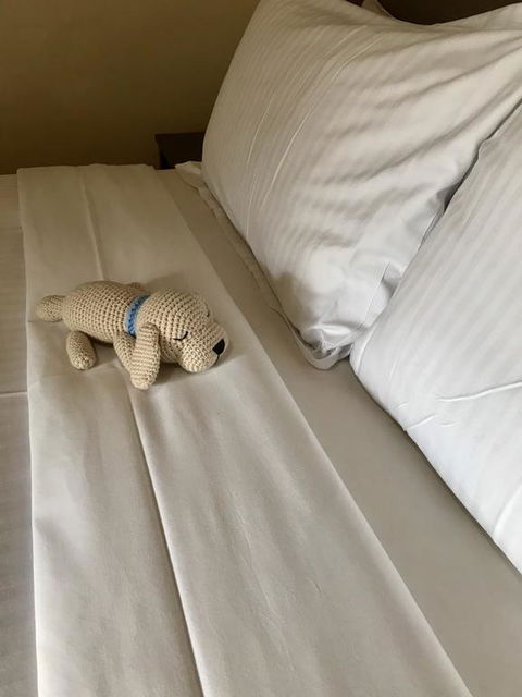 Happy Dogs Cottage Margaret River - Accommodation Newcastle 3