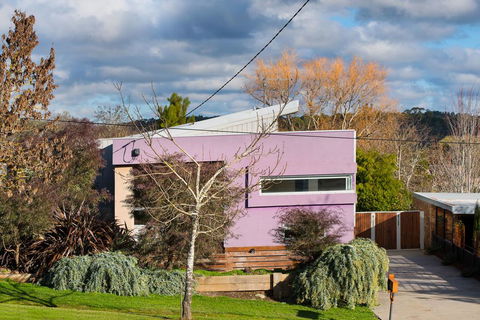 Harlequin - Accommodation Newcastle 2