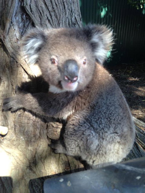 Harmony At Tower Hill - Accommodation Newcastle 2