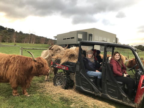 Highland Getaway - Accommodation Newcastle 0