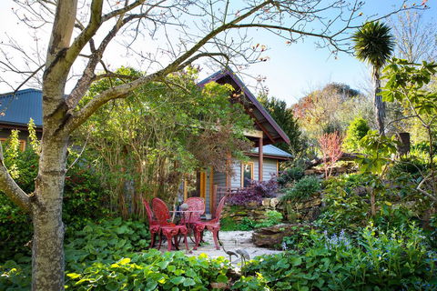 Hills End Camellia - Accommodation Newcastle 0