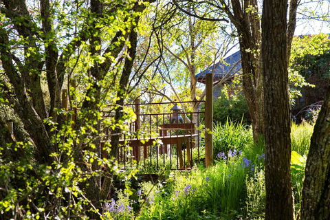 Hills End Camellia - Accommodation Newcastle 3