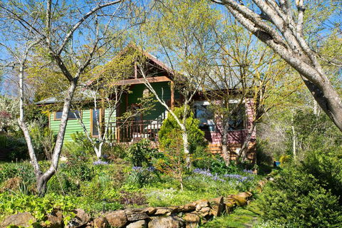 Hills End Iris - Accommodation Newcastle 1