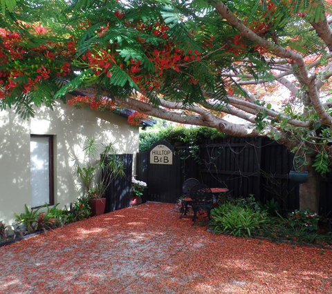 Hilltop B&B - Accommodation Newcastle 2