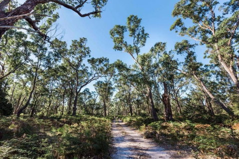 Jetty Views - Water Views On Raymond Island - Accommodation Newcastle 1