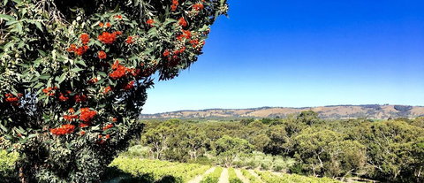 Karawatha Cottages B&B - Accommodation Newcastle 2