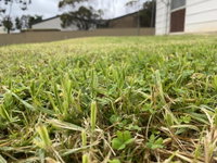 Book Karoonda Accommodation Vacations Accommodation Newcastle Accommodation Newcastle