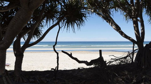 Kingscliff Sunrise Apartments - Accommodation Newcastle 2