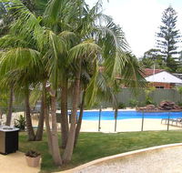 Koala Tree Motel - Accommodation Newcastle