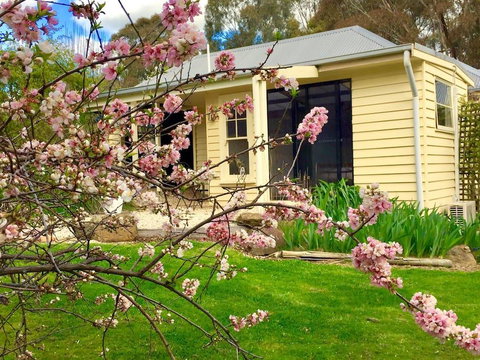 Koovelly Garden Studio - Accommodation Newcastle 2