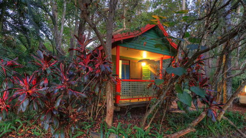 Lake Eacham Tourist Park & Cabins - Accommodation Newcastle 3