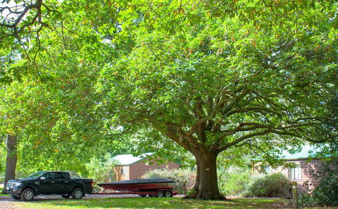 Lakes And Craters Holiday Park - Accommodation Newcastle 2