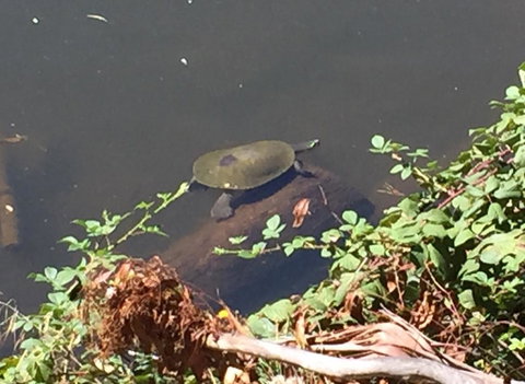 Lakeside Suites - Accommodation Newcastle 2