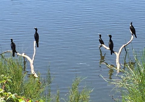 Lakeside Suites - Accommodation Newcastle 3