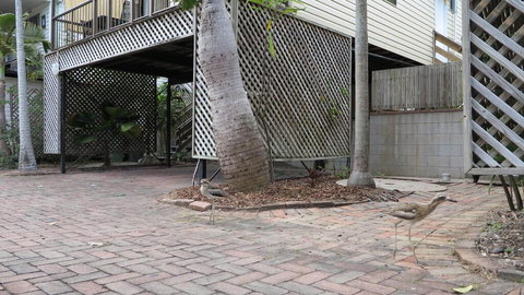 Magnetic Haven Unit 6 - Accommodation Newcastle 2