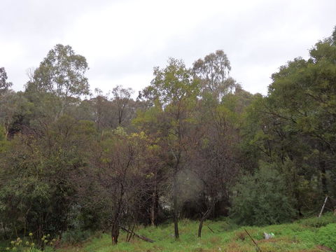 Mandall Avenue - Accommodation Newcastle 2