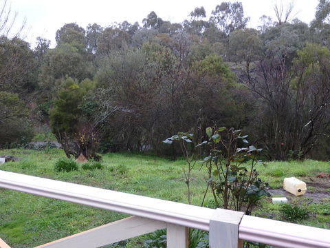 Mandall Avenue - Accommodation Newcastle 1