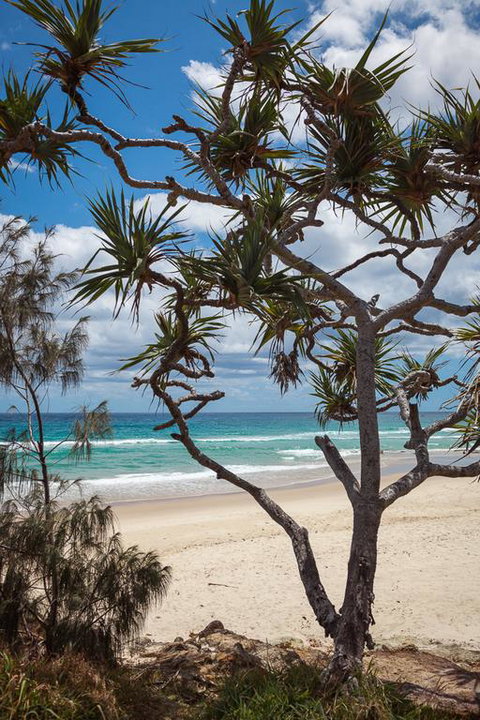 McLeod - Accommodation Newcastle 3