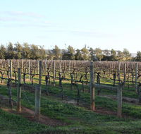 Milawa Vineyard Views - Guesthouse 2 - Accommodation Newcastle