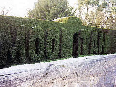 Mooltan House - Accommodation Newcastle 0