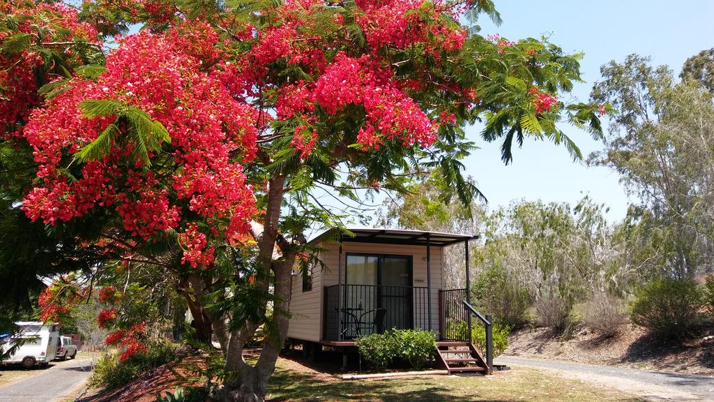 Ambrose QLD Accommodation Newcastle