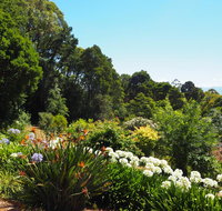 Murrindindi - Accommodation Newcastle