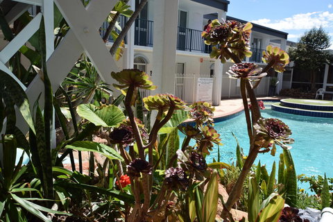 Seashore Memories - Sleeps 3 - Accommodation Newcastle 14