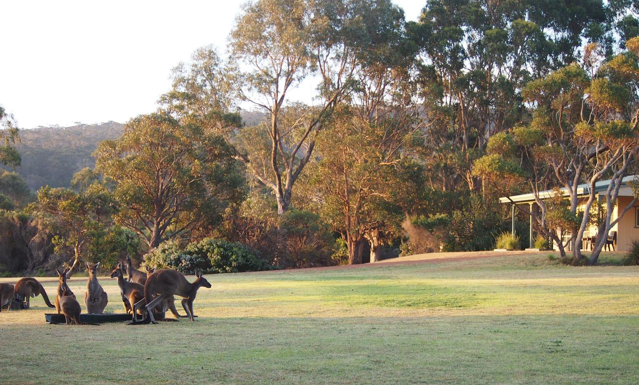  Accommodation Newcastle
