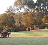 Riverside Retreat Chalets Walpole - Accommodation Newcastle
