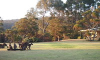 Book Walpole Accommodation Vacations Accommodation Newcastle Accommodation Newcastle