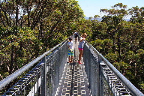 Bayside Villas - Accommodation Newcastle 16