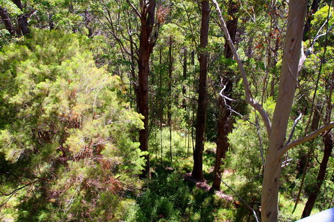 Bayside Villas - Accommodation Newcastle 5