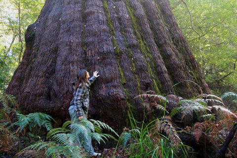 Bayside Villas - Accommodation Newcastle 4