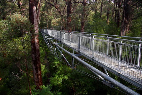 Bayside Villas - Accommodation Newcastle 11