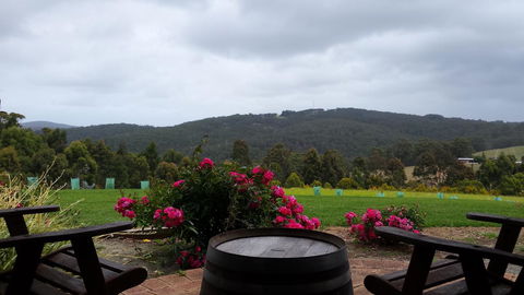 Karri Aura - Accommodation Newcastle 3