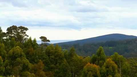 Karri Aura - Accommodation Newcastle 10