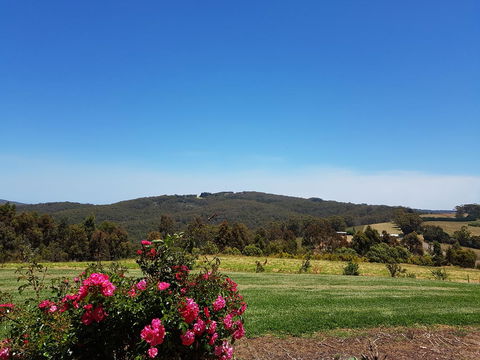 Karri Aura - Accommodation Newcastle 9