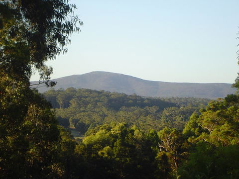 Kangaroo Valley Cottage - Accommodation Newcastle 19