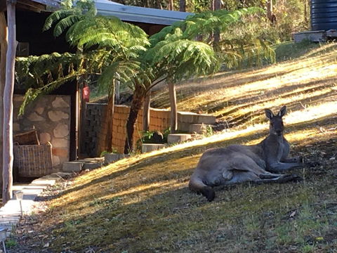 Kangaroo Valley Cottage - Accommodation Newcastle 3