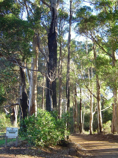 Kangaroo Valley Cottage - Accommodation Newcastle 21