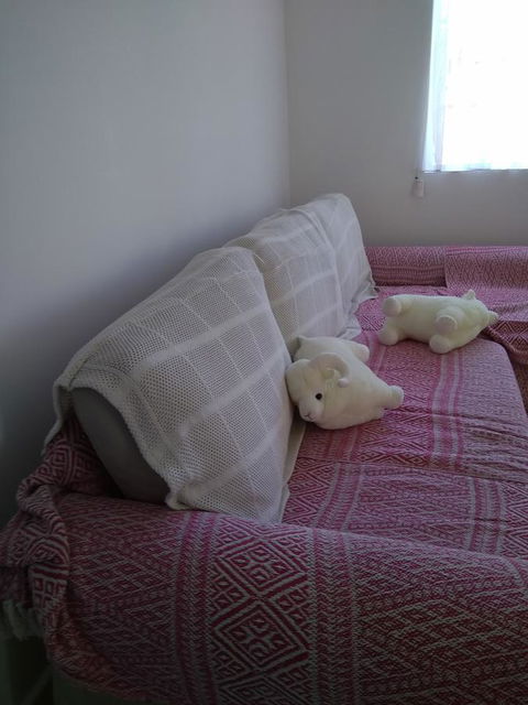 DIANELLA Budget Rooms Happy Place To Stay - Accommodation Newcastle 29