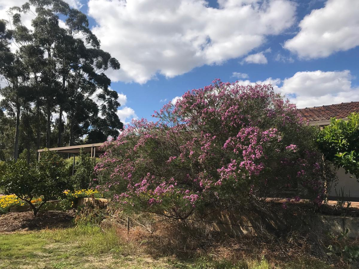  Accommodation Newcastle