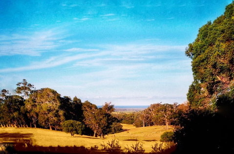 For The Birds Yallingup - Accommodation Newcastle 27