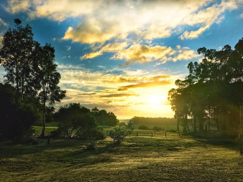 For The Birds Yallingup - Accommodation Newcastle 23