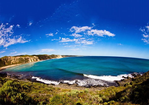 For The Birds Yallingup - Accommodation Newcastle 31