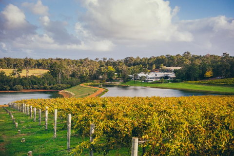 For The Birds Yallingup - Accommodation Newcastle 32