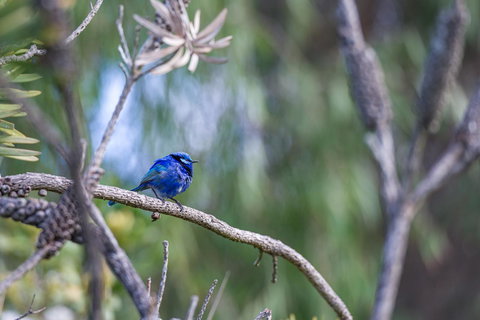 Surfside Ocean Beach Denmark Holiday Accommodation - Accommodation Newcastle 3