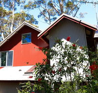 Pelicans at Denmark - Accommodation Newcastle