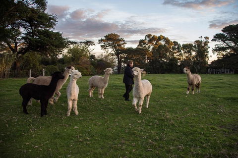 Celestine Retreat - Accommodation Newcastle 6