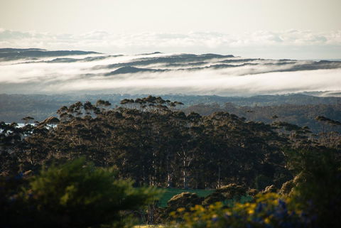 Celestine Retreat - Accommodation Newcastle 13